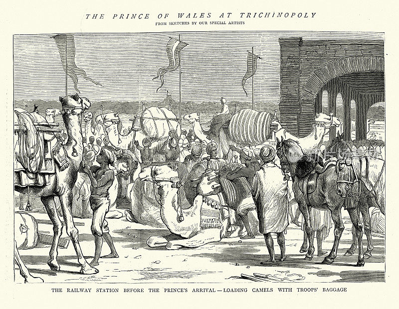 威尔士王子，后来的爱德华七世，皇家访问印度，在Trichinopoly装骆驼，现在泰米尔纳德邦的Tiruchirappalli, 1870年代